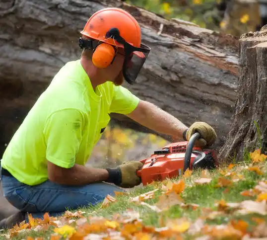 tree services Lake Lure